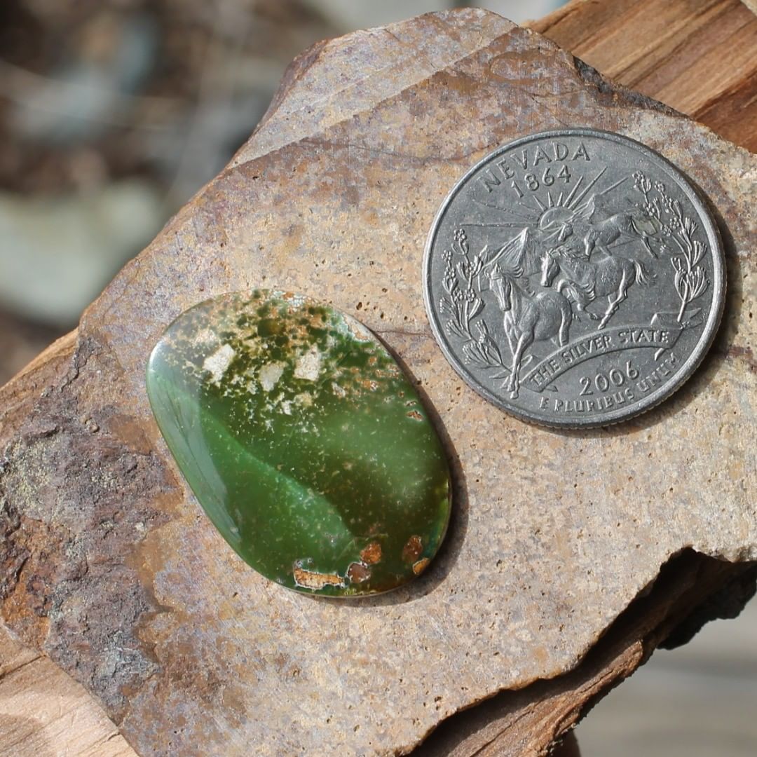 Not the typical Stone Mountain Turquoise (green-line)
Instagram    $29 for 10.4 carats untreated Nevada turquoise.
