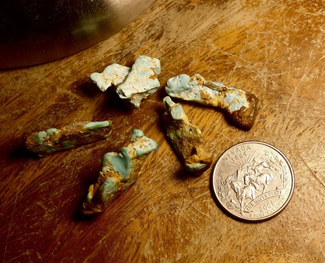 Turquoise vein study (Stone Mountain Turquoise NFS) Odd duck nuggets
